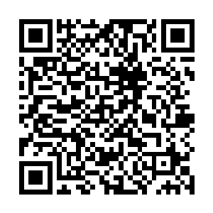 洪涛发现她比几个月前刚见到小韩苏的时候好了一点儿二维码生成