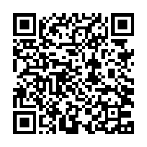 洪涛在客厅的壁炉上面一眼就看到了一条两米长的金枪鱼标本二维码生成