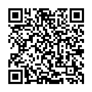 洪涛对于蒋女士所说的这个带货数量有点持怀疑态度二维码生成