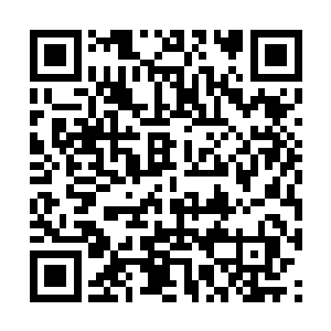洪涛就看到有几名身穿统一制服的大汉守在院门口二维码生成