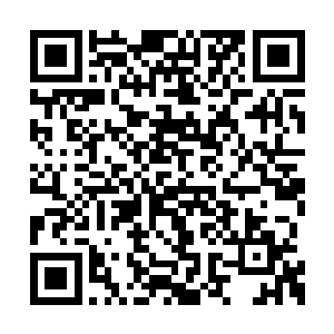 洪涛此时就展现了他的心理年龄和说废话的功夫二维码生成