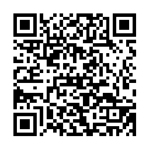 洪涛特意从圣地亚哥订购了一棵5米多高的圣诞树二维码生成