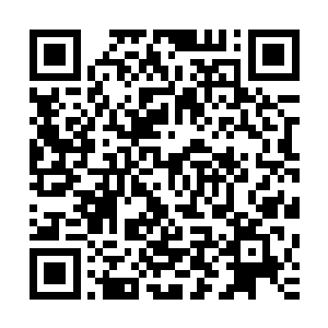 洪涛等薛英子跑前跑后把陪唱的服务员和洋酒小吃都安排完了二维码生成