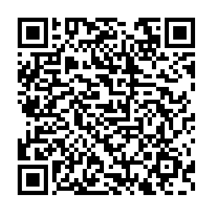 洪涛终于明白了这位高队长为什么能在转运队里活得比别的管教滋润些二维码生成