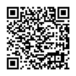 洪涛终于等到那辛寺小朋友主动提出这个问题了二维码生成