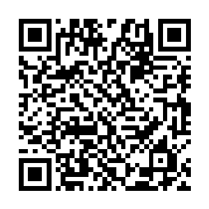 洪涛觉得让这么一个老水手误认为自己是什么航海高手二维码生成