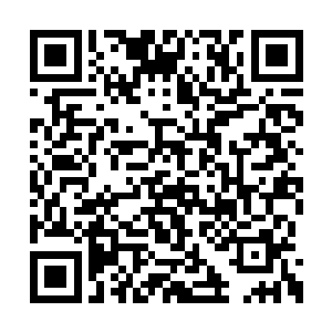 洪涛那架燕子皇后号私人飞机又出现在了洛杉矶二维码生成