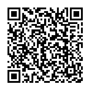 洪潮军团的俘虏和用俘虏基因复制出来的全新生命体……等等等等二维码生成