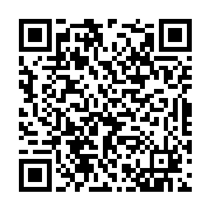 洪父和洪母的注意力都在林烽这个救命恩人的身上二维码生成