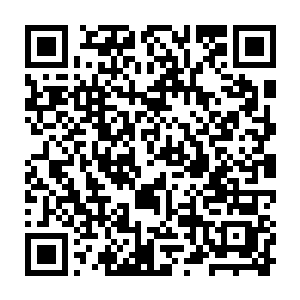 洪福家族的两名圣王以及蓝袍老者碧海和麻布衣老者葛秋四人也没有片刻迟疑二维码生成