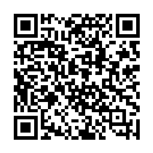 活像前两天从树上溜下来偷跑到山洞里偷果子的松鼠二维码生成