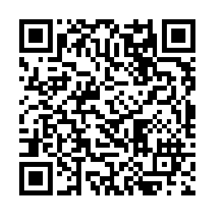 活动了一下自己的四肢嘴角也是不由的露出一抹笑意二维码生成