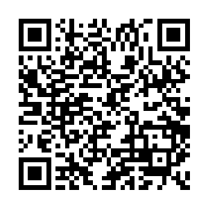 活在这个世界上总是要心狠一点才能活的长久的二维码生成