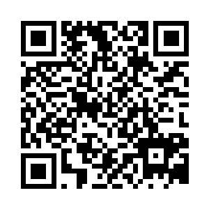 活生生将苏天骄凝造成了一个朱雀模样二维码生成
