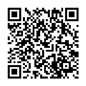 活生生的靠着听音儿把深埋地下的一对夫妇救出二维码生成