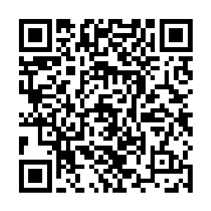 活着被吸血刃抽取精血是一个极为痛苦漫长的死亡过程二维码生成