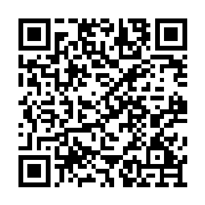 活脱脱的将原本只会像脱缰的野马一样的孩子们二维码生成