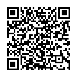 洼地村人的命运确实在严默到来的这一天彻底改变了二维码生成