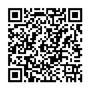 派克为什么居然不履行自己的职责而跑出去喝酒了二维码生成