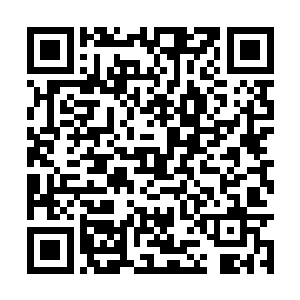 派刚刚分享给同伴们的资料同时也传了一份到他的二维码生成