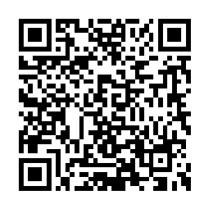 派对中所有的人都没有留心舞台上唱歌的两个人二维码生成