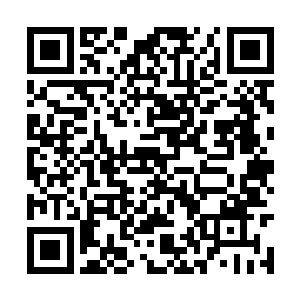 派拉蒙影业方面很痛快的表示会支持杜克参与投资二维码生成