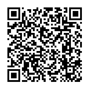 派特·金丝莉显然知道汤姆·克鲁斯实际上并不是能让人放心的那种明星二维码生成