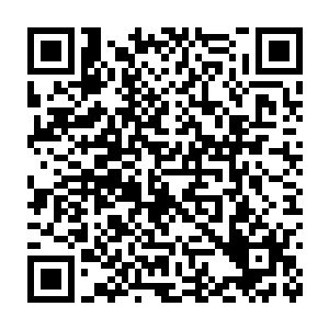 派系纵横那是必然的事情……即便是以团结而著称的罗斯柴尔德家族二维码生成