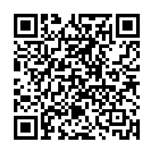 流云小心翼翼地从强忍着笑意的水菲菲手中接过小凤儿二维码生成