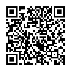 流云战队以及其他星辰战队几十名星巡者惊骇欲绝的目光包围中二维码生成