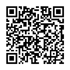 流光虎甲虫也带着大量的空间裂缝狠狠地扑到了厄尔加斯的面前二维码生成