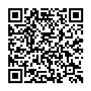 流出两缕鼻血的孟奇强忍住经脉火烧一样的疼痛二维码生成