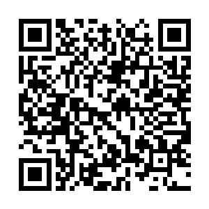 流墨墨一口把刚刚喝进去的绿色汁水一口喷了出来二维码生成