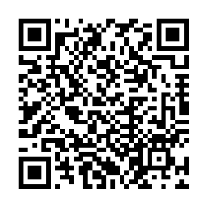 流墨墨不悦的冷冷扫了一眼转过头看着他们的修魔者们二维码生成