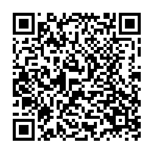 流墨墨与颜洛儿的眼神交流突然被下面那只直接被无视的金龙吼断了二维码生成