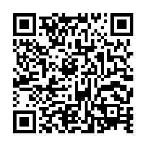 流墨墨也乐得清闲任由雪如楼带着自己冲进耀眼的光幕二维码生成