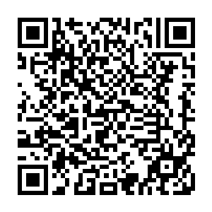 流墨墨也只是纠结了一下就没有纠结在琴瑟色太过在意仙乐师的这一点上二维码生成