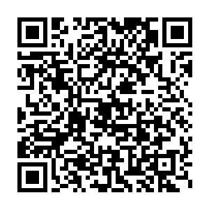 流墨墨冰着脸虽然报价的只有几个人但价钱已经飙到快六千御灵石了二维码生成