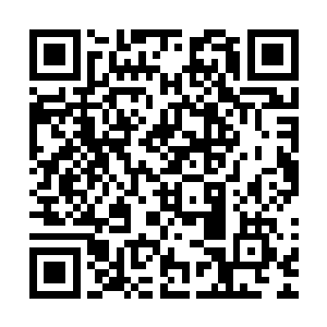 流墨墨则是的看着下面小铃铛后背那瘦弱的六只翅膀无语凝噎二维码生成