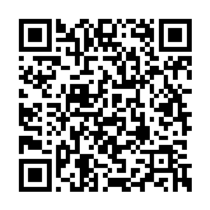 流墨墨则是让灵猫儿收起紫藤兽车后就跃下街道二维码生成