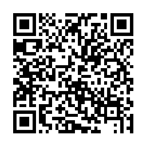 流墨墨却是没有在意颜洛儿的兴致和紫涟漪的不自在二维码生成