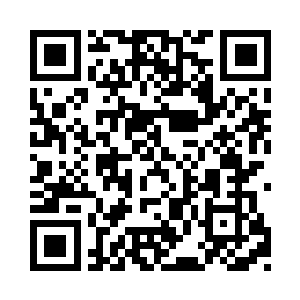 流墨墨却是跃跃欲试的看向花园内的姹紫嫣红二维码生成