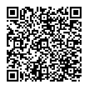 流墨墨只在白发青年那似乎带着几分熟悉感的晶白圆形猫眼霍的睁开的时候怔楞一下后二维码生成