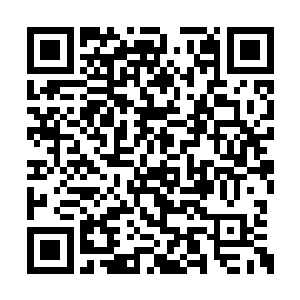 流墨墨和琴瑟色打量了一下只看向山顶方向说道二维码生成