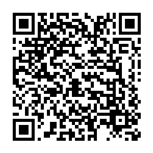 流墨墨和雪如楼都没听吴幸准备报告的这几日那些命定主角的变化二维码生成