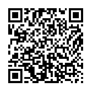 流墨墨对于易红仙人掌握的阵法能力也生出了兴趣二维码生成