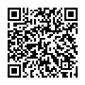 流墨墨小心的踩着一只木椅爬到了木柜子顶上站起··二维码生成