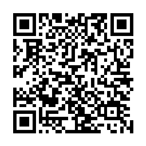 流墨墨恢复好后扫了一眼身旁被黑茧包裹的十五具人形物体二维码生成