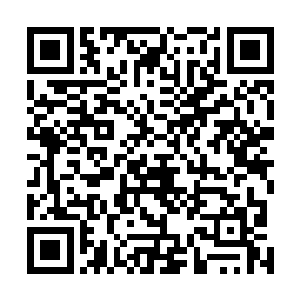 流墨墨惊异的发现只一会儿功夫居然就回到碧落门山门前二维码生成