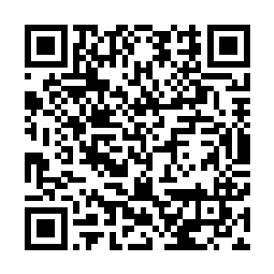 流墨墨感到脑里那朵细小的红莲吸收的是自己身体里的精华二维码生成